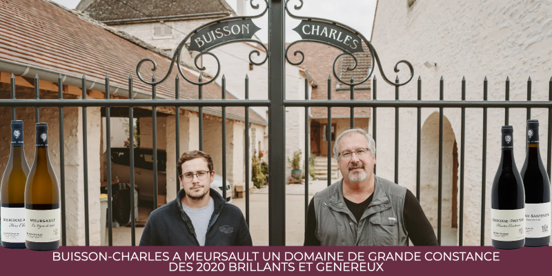 Buisson-Charles à Meursault un domaine de grande constance : des 2020 brillants et généreux